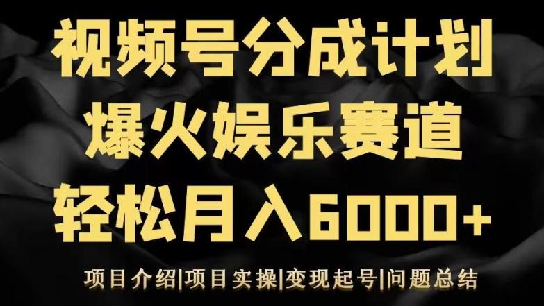 视频号创作分成计划之娱乐赛道轻松日入500+-网创小站