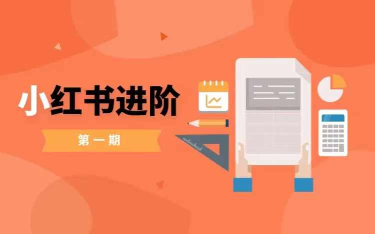 小红书进阶篇，零基础小白实战课，普通人变现的课程-网创小站