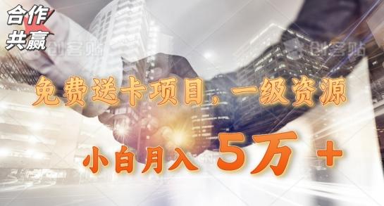 免费送卡项目，一级资源，小白月入5万+-网创小站