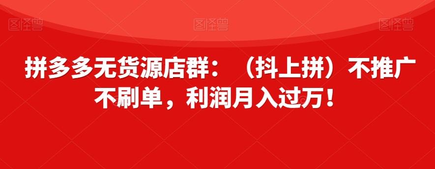 拼多多无货源店群：（抖上拼）不推广不刷单，利润月入过万！【揭秘】-网创小站