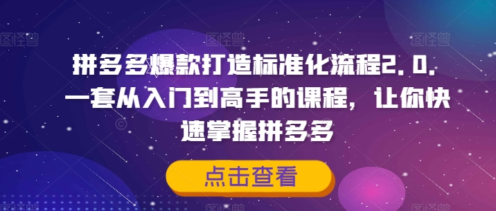 拼多多爆款打造标准化流程2.0，一套从入门到高手的课程，让你快速掌握拼多多-网创小站