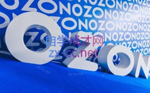 森哥·出海俄罗斯电商实操(2024)-网创小站