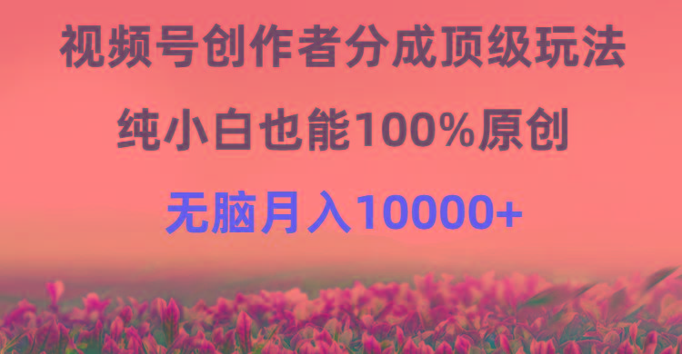 (9608期)视频号创作者分成顶级玩法，纯小白也能100%原创，无脑月入10000+-网创小站
