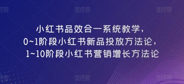 小红书品效合一系统教学，​0~1阶段小红书新品投放方法论，​1~10阶段小红书营销增长方法论-网创小站