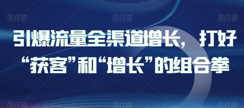 引爆流量全渠道增长，打好“获客”和“增长”的组合拳-网创小站