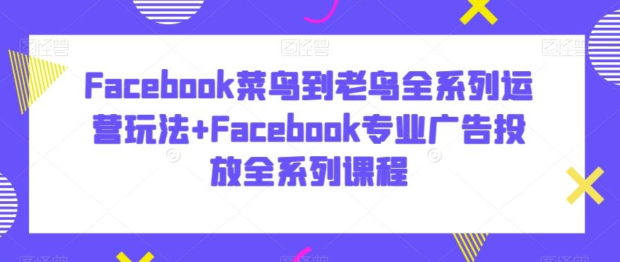 Facebook菜鸟到老鸟全系列运营玩法+Facebook专业广告投放全系列课程-网创小站