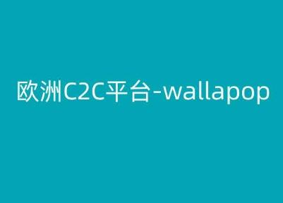 欧洲C2C平台-wallapop-kim跨境电商教程-网创小站