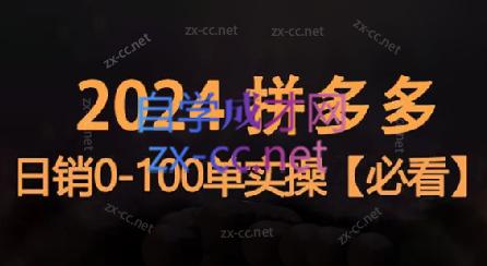 恒哥·2024拼多多日销0-100单实操-网创小站