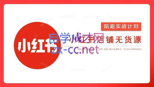 安琪·小红书店铺无货源-网创小站