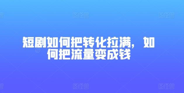 短剧如何把转化拉满，如何把流量变成钱-网创小站