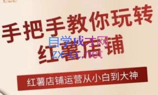 海燕老师·2024手把手教你玩转红薯店铺-网创小站