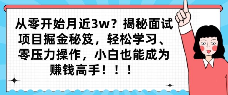 从零开始月近3w？揭秘面试项目掘金秘笈，轻松学习、零压力操作，小白也能成为赚钱高手-网创小站