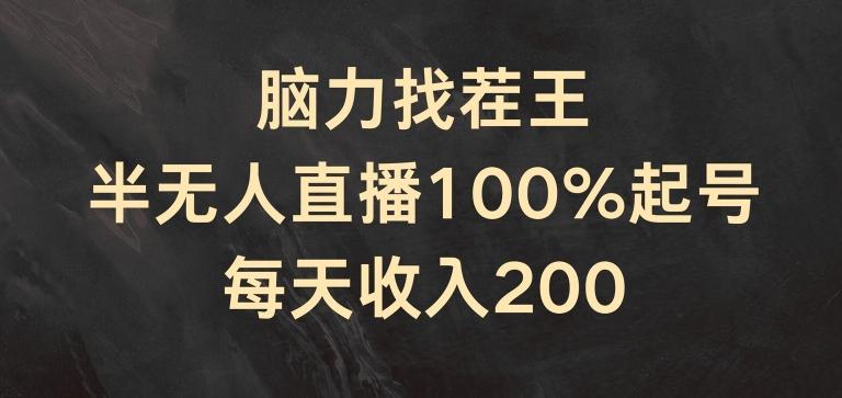 脑力找茬王，半无人直播100%起号，每天收入200+【揭秘】-网创小站