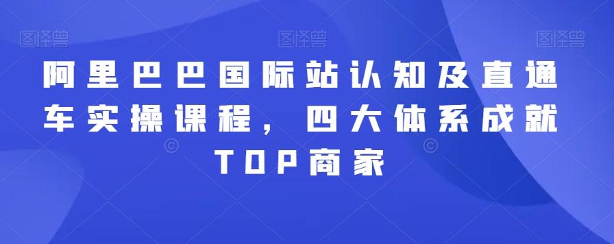 阿里巴巴国际站认知及直通车实操课程，四大体系成就TOP商家-网创小站