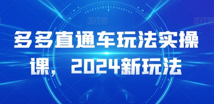 多多直通车玩法实操课，2024新玩法-网创小站