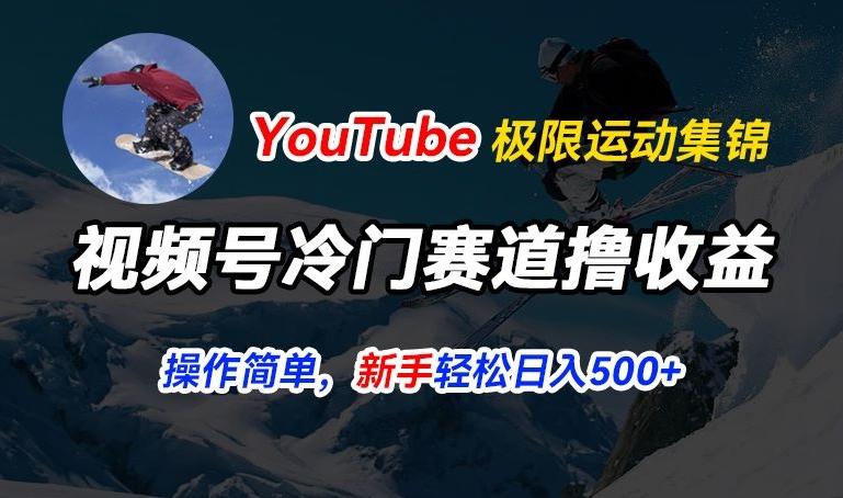 视频号冷门赛道撸收益，YouTube搬运极限运动集锦，暴力起号，操作简单流量高，轻松日入5张【揭秘】-网创小站