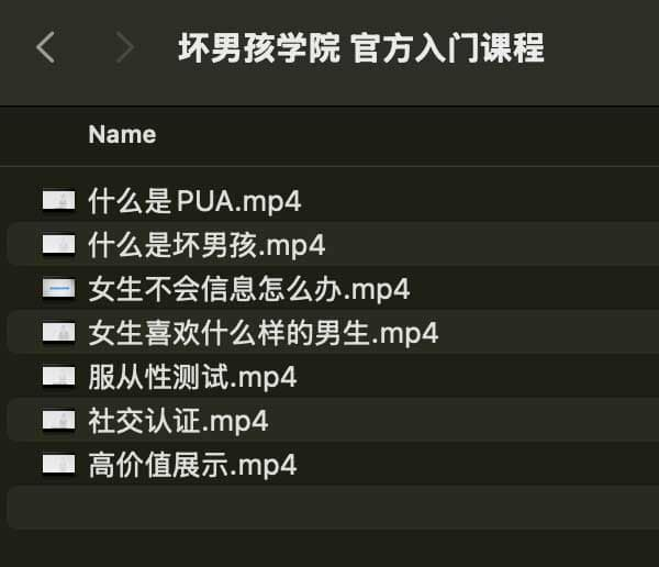 坏男孩学院 官方入门课程-网创小站