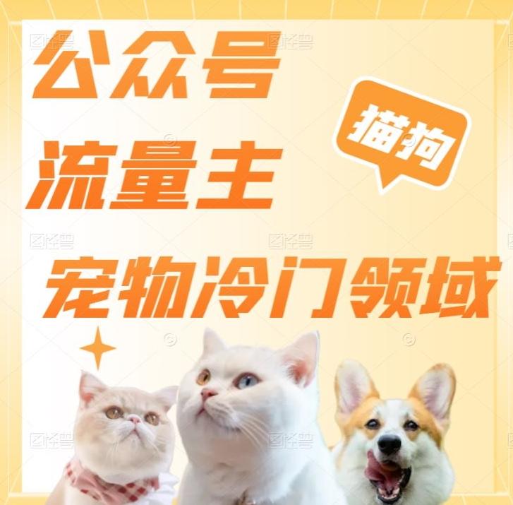 公众号流量主，萌宠冷门领域，单日收益2000+，简单暴力掘金，矩阵操作，无限放大收益！-网创小站