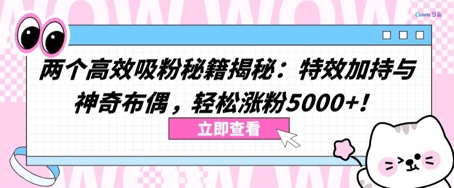 两个高效吸粉秘籍揭秘：特效加持与神奇布偶，轻松涨粉5000+【揭秘】-网创小站