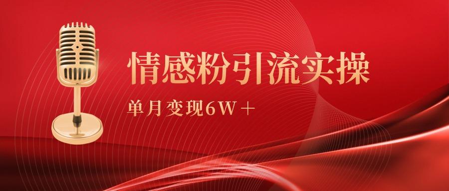 (9473期)单月变现6w+，情感粉引流变现实操课-网创小站