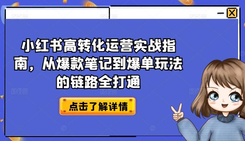 小红书高转化运营实战指南，从爆款笔记到爆单玩法的链路全打通-网创小站