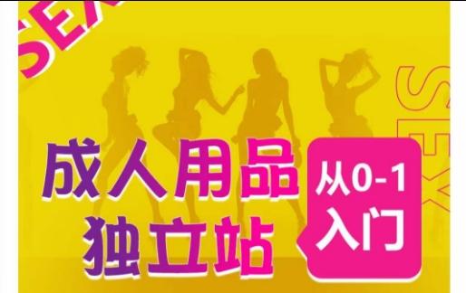成人用品独立站从0-1入门，成品独立站运营全流程教学，七大好卖成品独立站推荐-网创小站