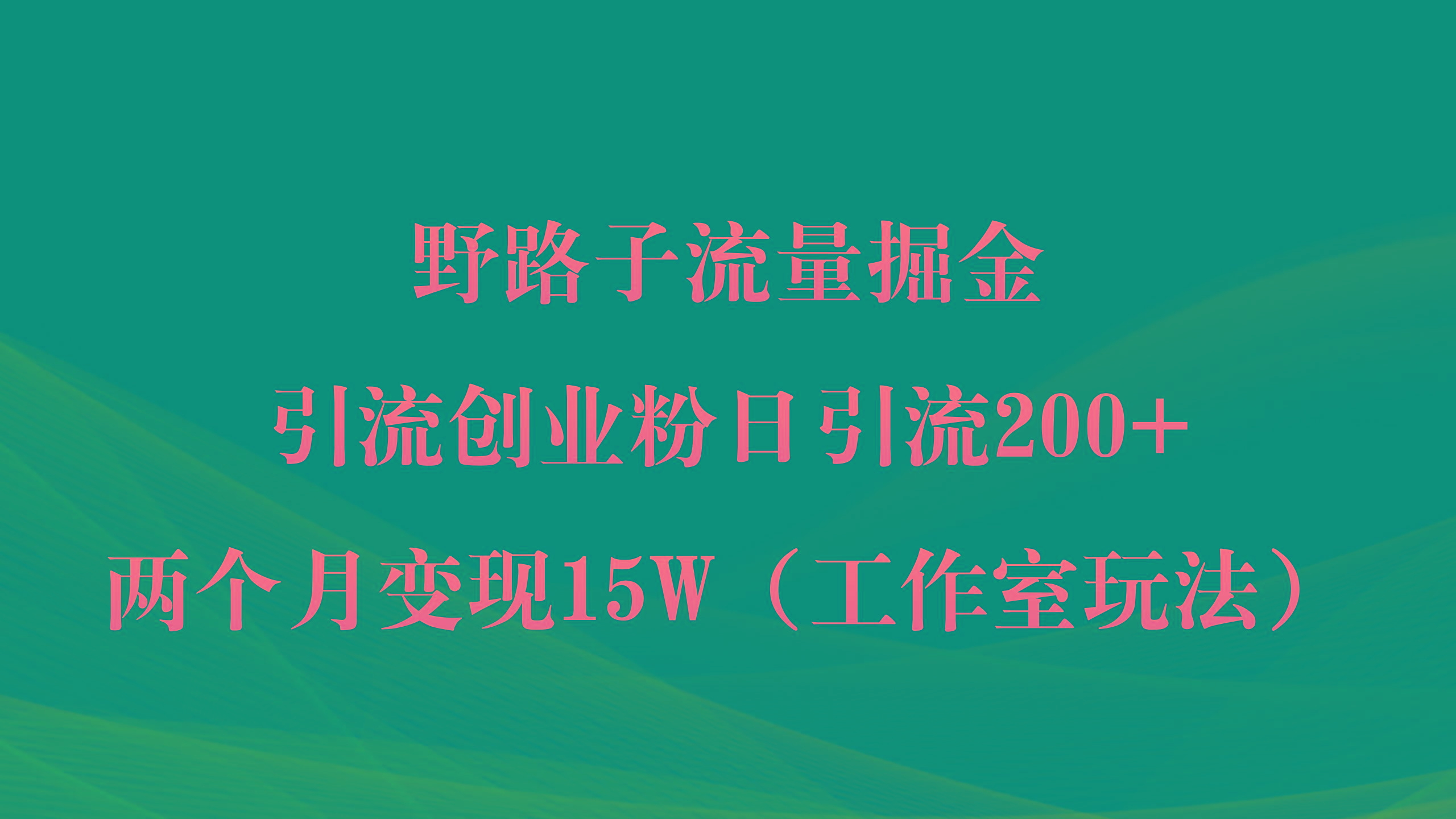(9513期)野路子流量掘金，引流创业粉日引流200+，两个月变现15W(工作室玩法))-网创小站