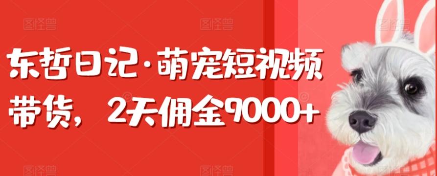 东哲日记·萌宠短视频带货，2天佣金9000+-网创小站