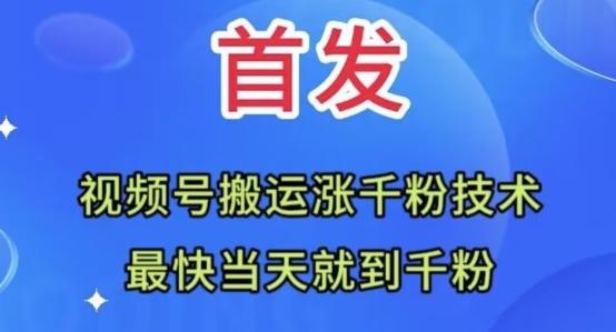 全网首发：视频号无脑搬运涨千粉技术，最快当天到千粉【揭秘】-网创小站