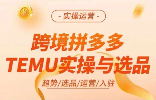 跨境拼多多TEMU实操与选品，多多temu跨境选品运营实操-网创小站