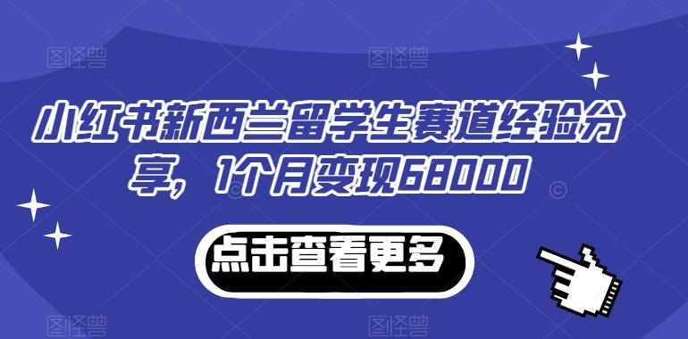 小红书新西兰留学生赛道经验分享，1个月变现68000【揭秘】-网创小站