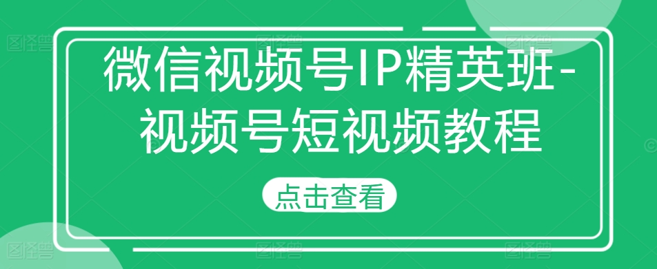 微信视频号IP精英班-视频号短视频教程-网创小站
