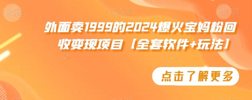 外面卖1999的2024爆火宝妈粉回收变现项目【全套软件+玩法】【揭秘】-网创小站