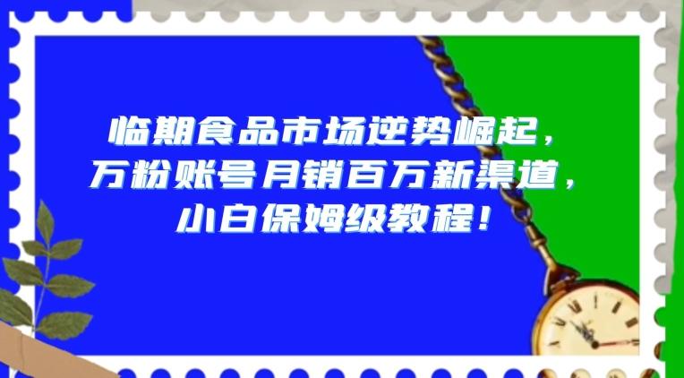 临期食品市场逆势崛起，万粉账号月销百万新渠道，小白保姆级教程【揭秘】-网创小站