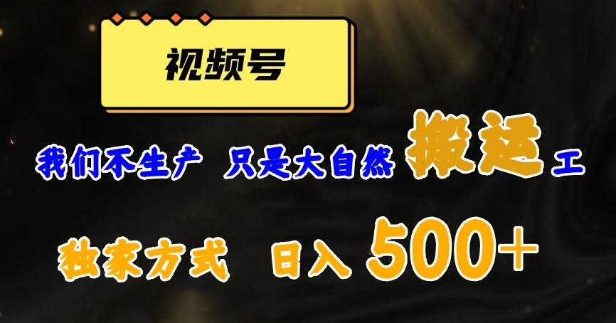 视频号轻松搬运日赚500+，一个1分钟1条原创视频【揭秘】-网创小站