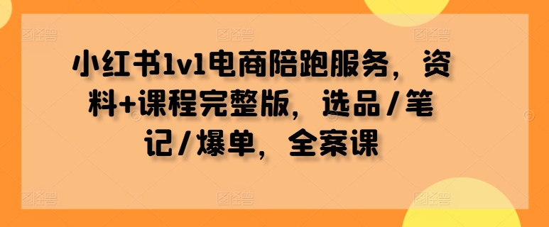小红书1v1电商陪跑服务，资料+课程完整版，选品/笔记/爆单，全案课-网创小站