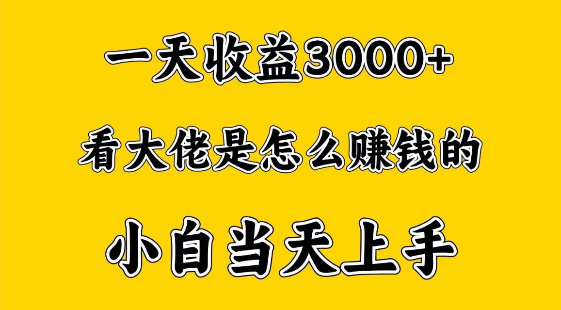一天赚3000多，大佬是这样赚到钱的，小白当天上手，穷人翻身项目-网创小站