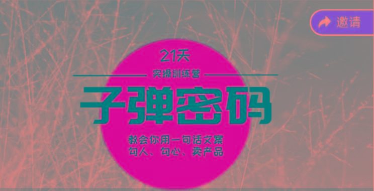 《子弹密码训练营》-用一句话文案勾人勾心卖产品，21天学到顶尖文案大师策略和技巧-网创小站