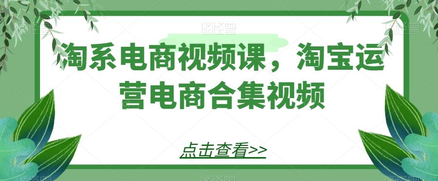淘系电商视频课，淘宝运营电商合集视频-网创小站