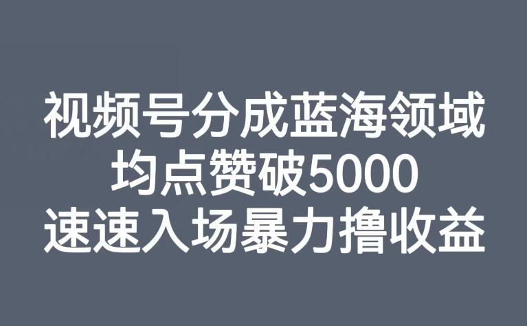 视频号分成蓝海领域，均点赞破5000，速速入场暴力撸收益-网创小站