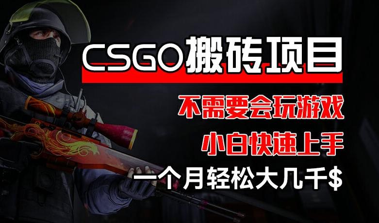 CSGO 装备搬砖项目，操作简单，不需要会玩游戏，小白也能快速上手，一个月轻松大几千【揭秘】-网创小站