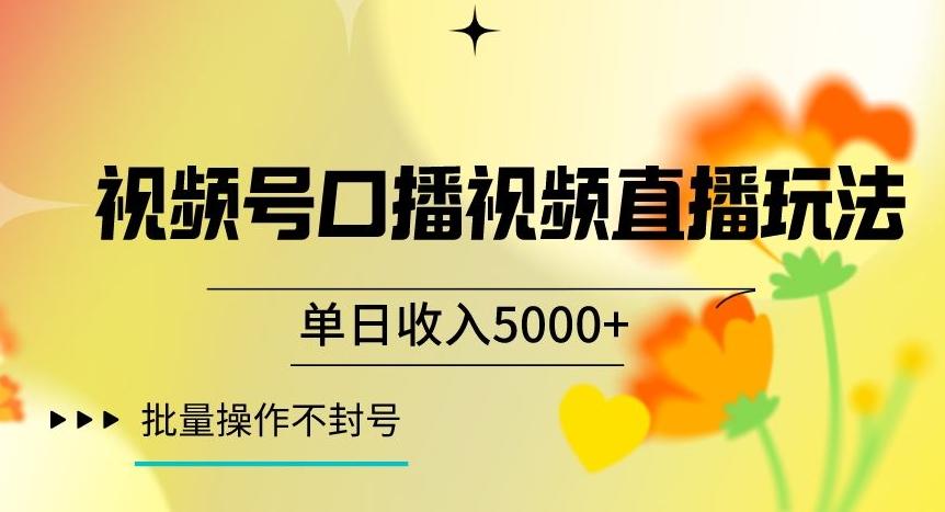 视频号囗播视频直播玩法，单日收入5000+，批量操作不封号【揭秘】-网创小站