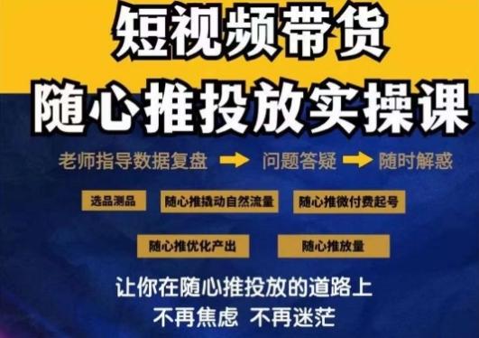 2024好物分享随心推投放实操课，随心推撬动自然流量/微付费起号/优化产出-网创小站