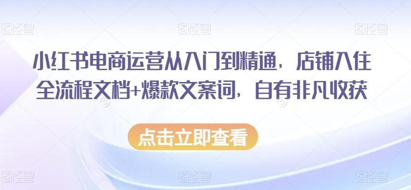 小红书电商运营从入门到精通，店铺入住全流程文档+爆款文案词，自有非凡收获-网创小站