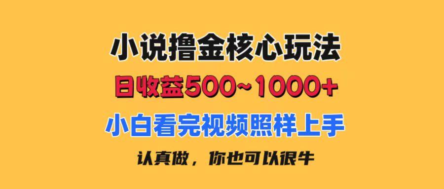 小说撸金核心玩法，日收益500-1000+，小白看完照样上手，0成本有手就行-网创小站