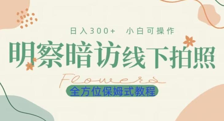 明拍暗拍项目0成本投入日入300+小白可操作保姆式全方位教程-网创小站