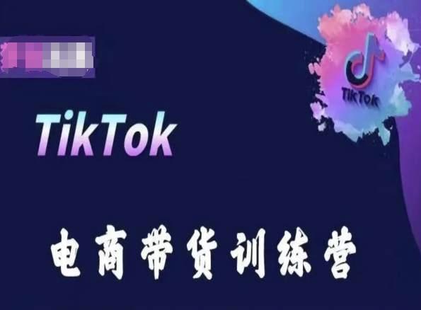 TikTok电商带货训练营，跟随时代潮流，跨境掘金-网创小站