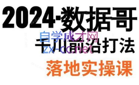 数据哥·2024年千川前沿打法落地实操课-网创小站