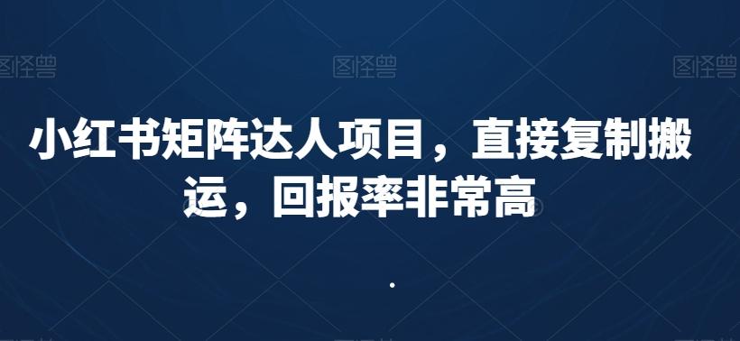 小红书矩阵达人项目，直接复制搬运，回报率非常高-网创小站
