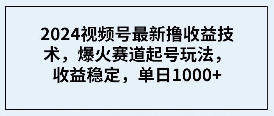 (9651期) 2024视频号最新撸收益技术，爆火赛道起号玩法，收益稳定，单日1000+-网创小站